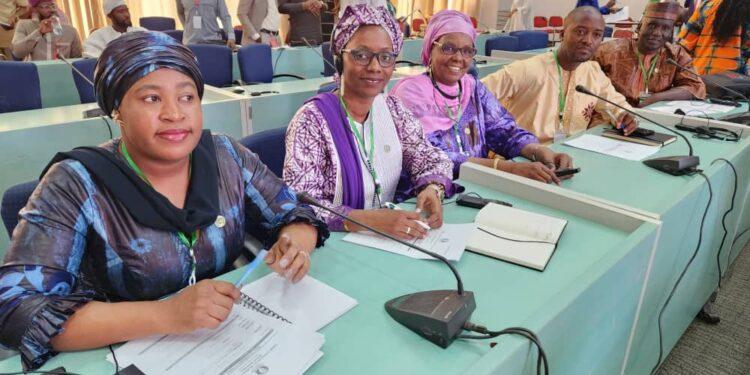 Parlement de la CEDEAO : La Guinée obtient 5 postes en marge des travaux de la session inaugurale de la 6ème législature