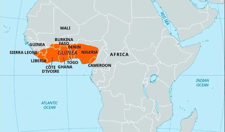 Tribune: Défendre la Guinée, la Dignité, la Souveraineté et la Fierté Nationale ( Dr David Makongo)